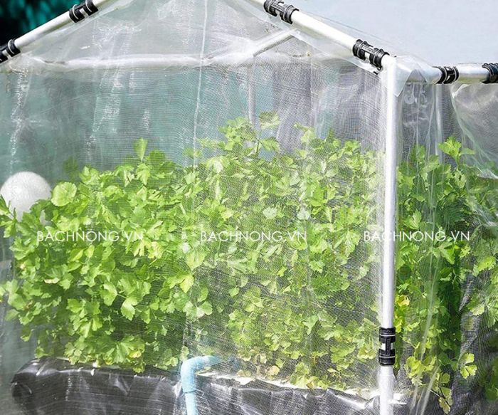 Sử dụng lưới ngăn côn trùng làm nhà lưới trồng rau mini