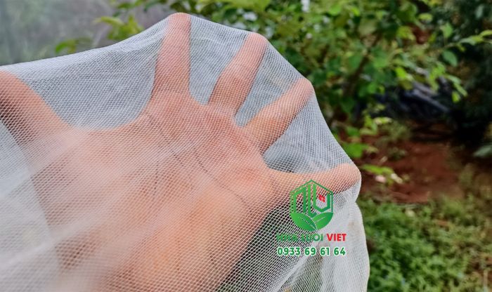 Lưới ngăn côn trùng 16 mesh sử dụng cho cây rau và cây ăn quả