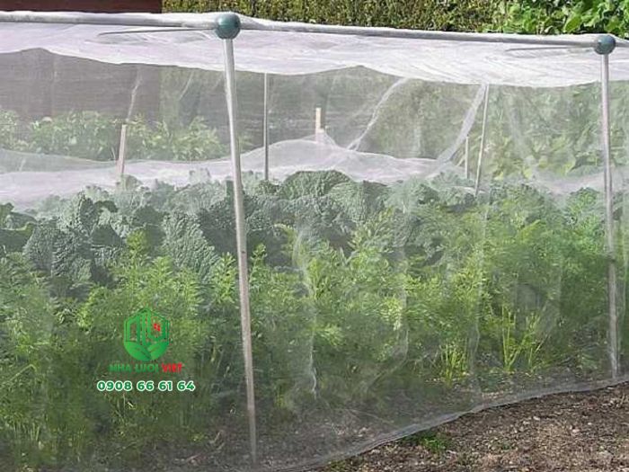 Lưới 32 mesh được sử dụng để trùm nhà trồng rau sạch