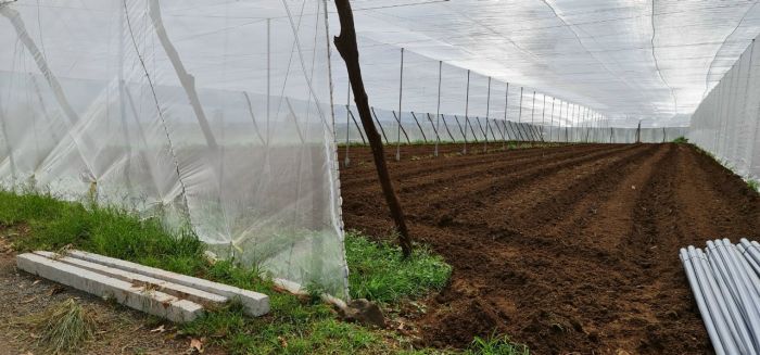 Làm nhà lưới trồng rau bằng lưới 16 mesh