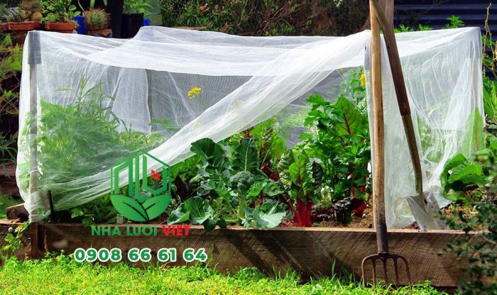 Cách trùm lưới chắn côn trùng cho rau