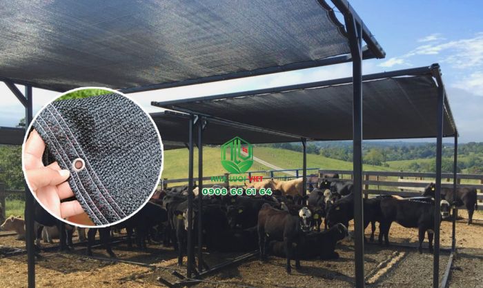 Che nắng cho đàn bò bằng tấm lưới màu đen