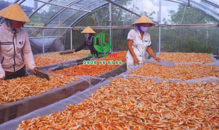 Giàn lưới phơi tôm khô trong nhà kính