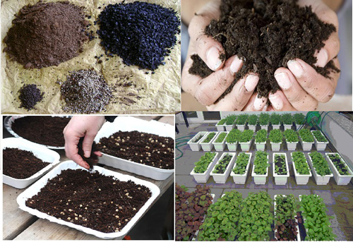 Cách trộn đất trồng rau trong thùng xốp