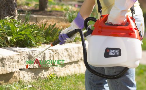5 điều bạn cần lưu ý trước khi sử dụng thuốc diệt cỏ
