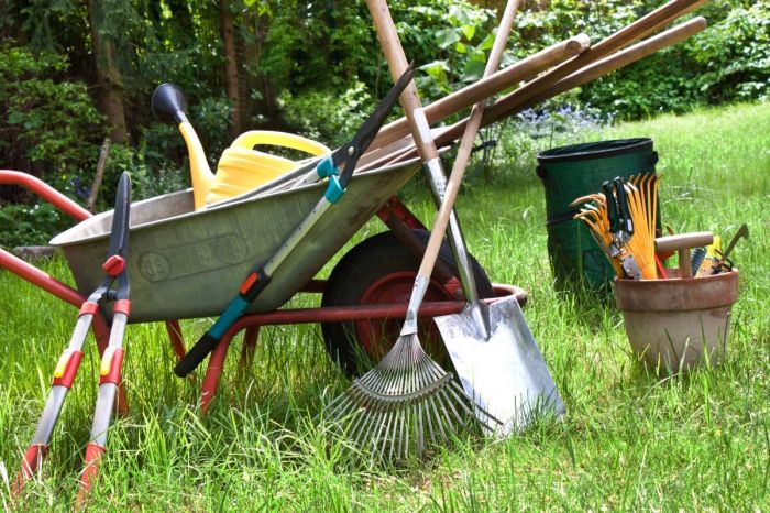 Vệ sinh sạch các dụng cụ làm vườn