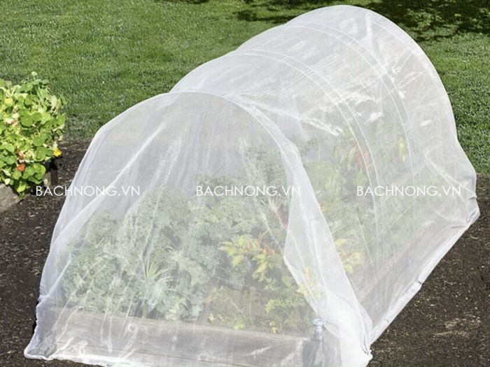 Sử dụng lưới ngăn côn trùng cho vườn rau