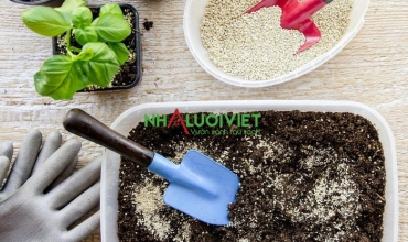 Cách làm vườn với đá Vermiculite