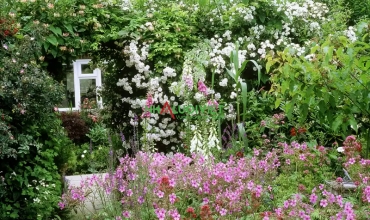 12 lời khuyên để thiết kế một khu vườn nhỏ