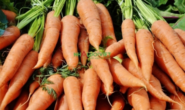 Mẹo trồng cà rốt cho củ lớn hơn