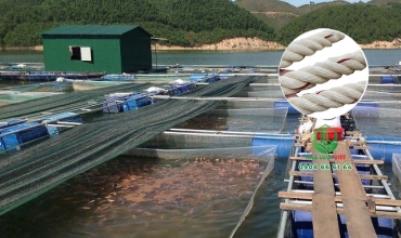 Ứng dụng của dây thừng PP trong ngành thủy sản