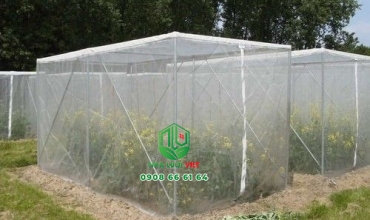 Lưới mùng trồng rau sạch